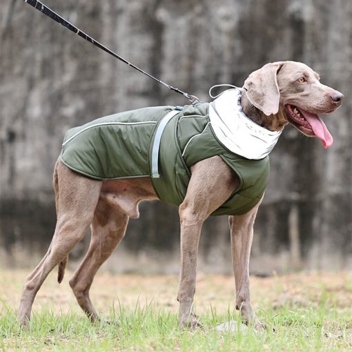 Veste imperméable chaude à col haut et réfléchissante pour chien – Image 2