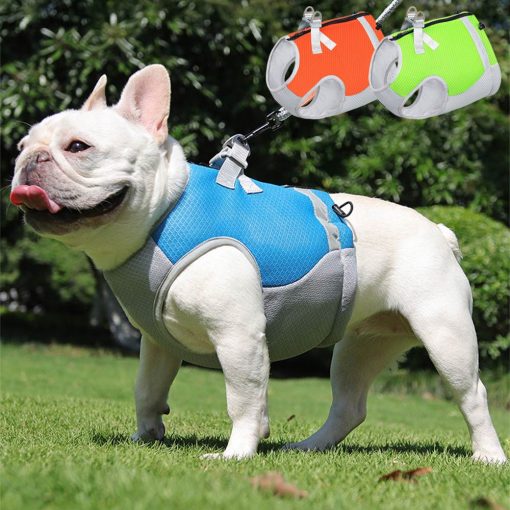 Gilet rafraîchissant léger et respirant pour chien à évaporation
