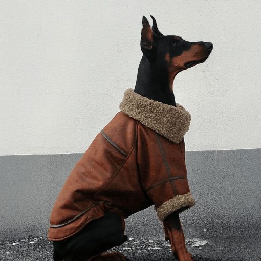 Veste aviateur vintage pour chien avec doublure en peau de mouton - Chaude et élégante
