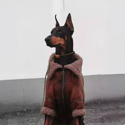 Veste aviateur vintage pour chien avec doublure en peau de mouton - Chaude et élégante – Image 2