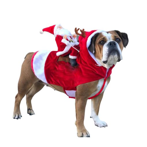 Costume pour animal de compagnie Cosplay du Père Noël – Image 2