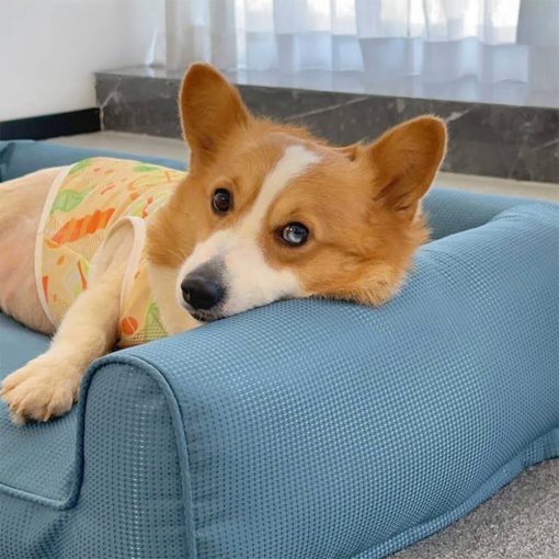 Canapé pour chien avec coussin amovible et lavable en Oxford imperméable – Image 2