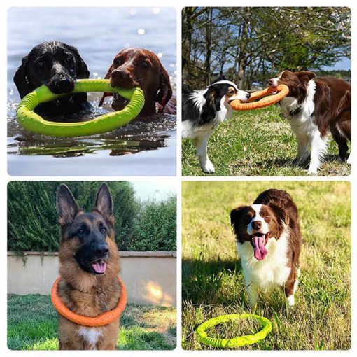 Anneau de guerre pour chien jouet interactif durable imperméable léger flexible – Image 2