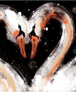 Cygnes amoureux