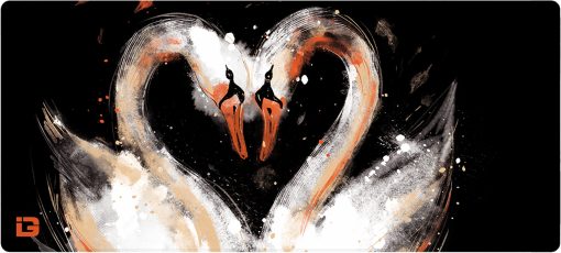 Cygnes amoureux