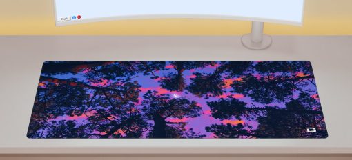 Vues sur la forêt – Image 2