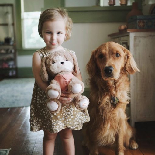 Chien Dinkum Dog - Honey – Image 2