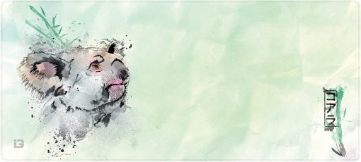 Aquarelle Koala